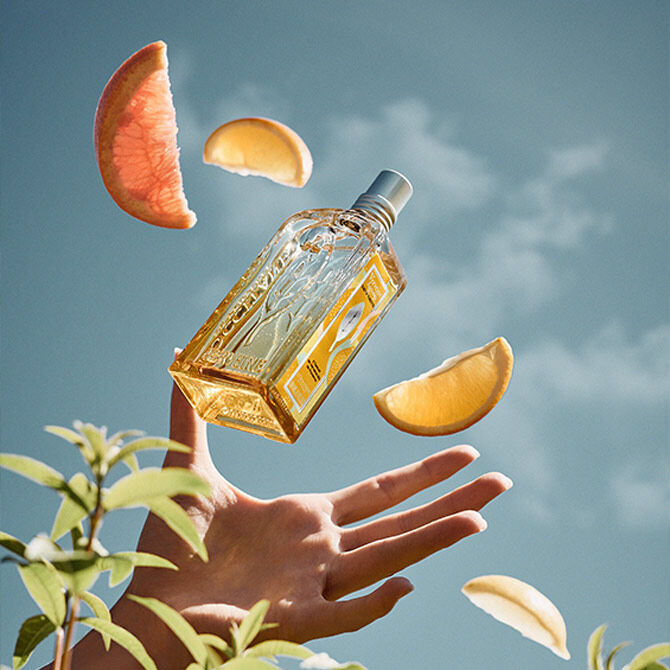 Fruity, Sunny & Invigorating